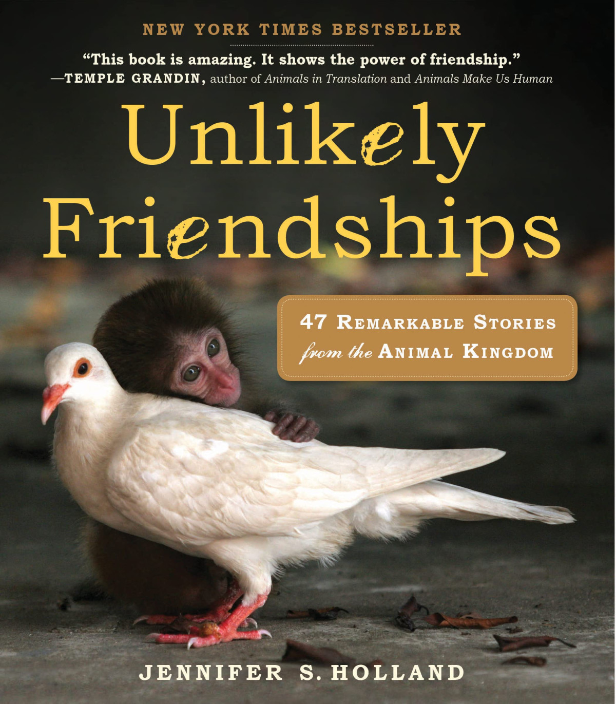 Unlikely Friendships Illustrated Jennifer S Holland