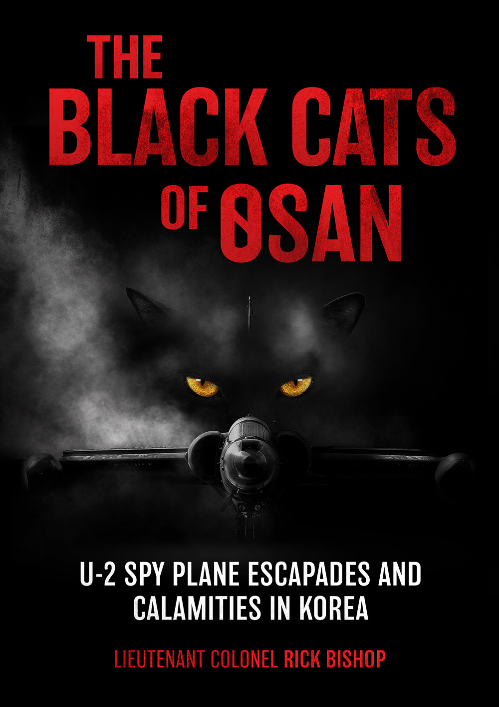 Black Cats Of Osan Rick Bishop