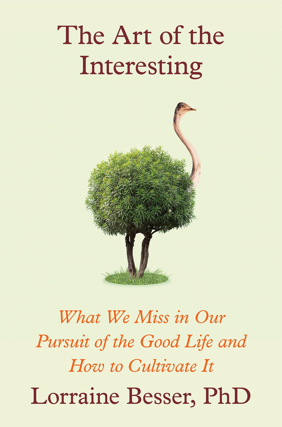 The Art Of The Interesting What We Miss In Our Pursuit Of The Good Life And How To Cultivate It Lorraine Besser