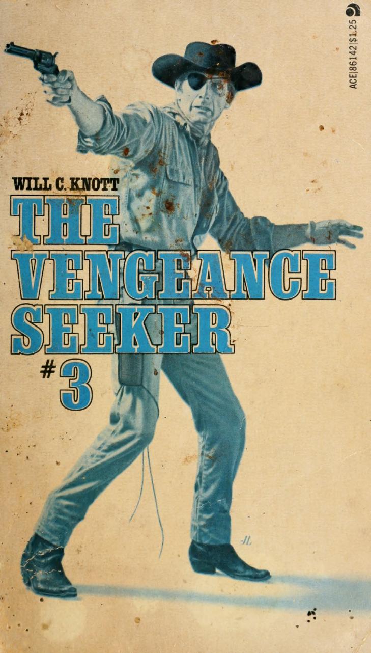 The Vengeance Seeker 3 Trail Of Revenge Will C Knott