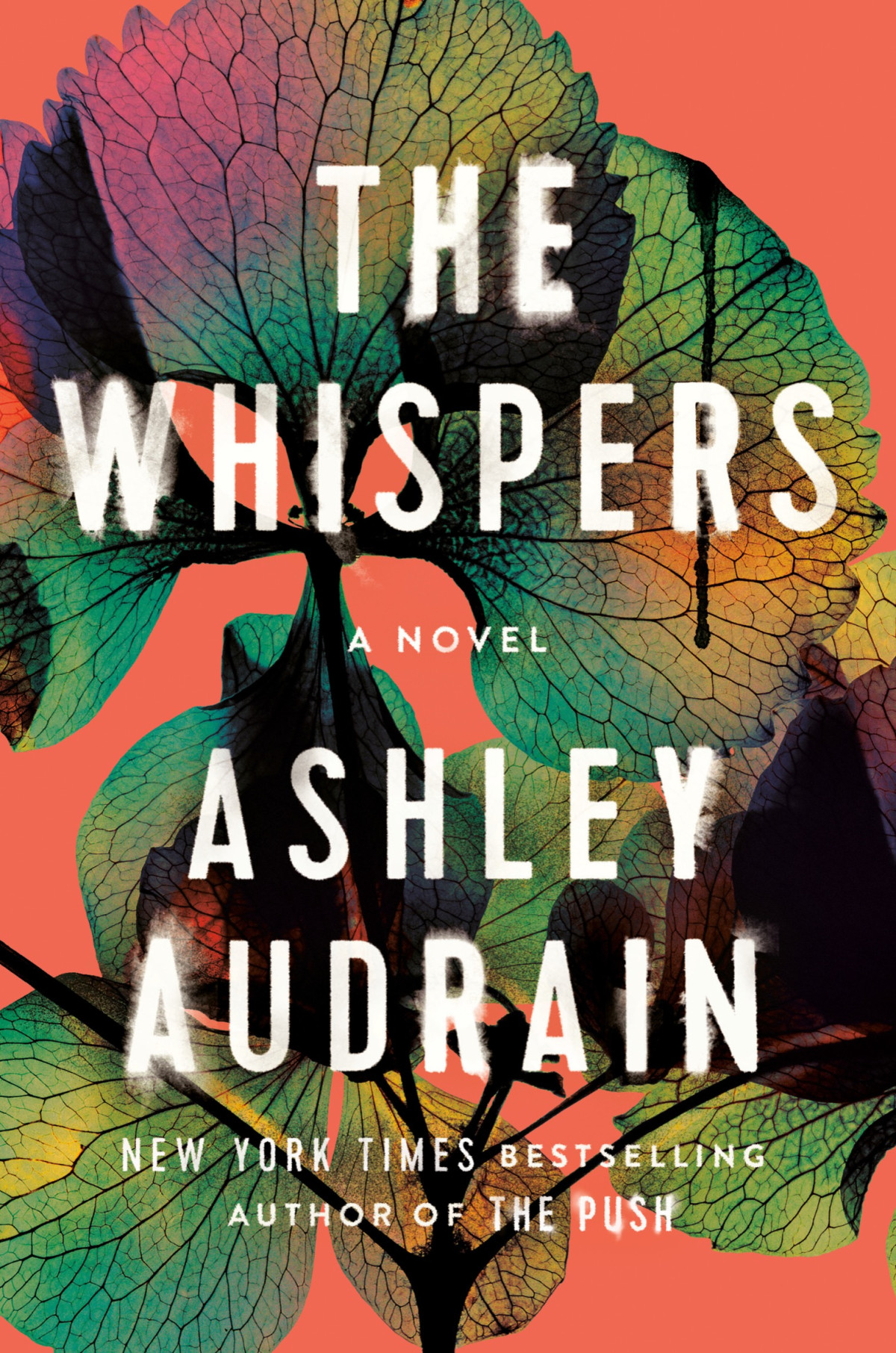 The Whispers The Propulsive New Novel From The Author Of The Push Ashley Audrain