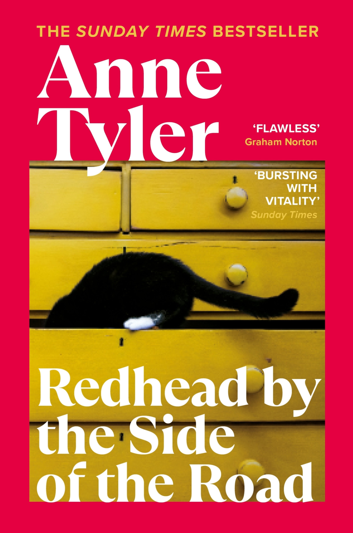 Redhead By The Side Of The Road Anne Tyler