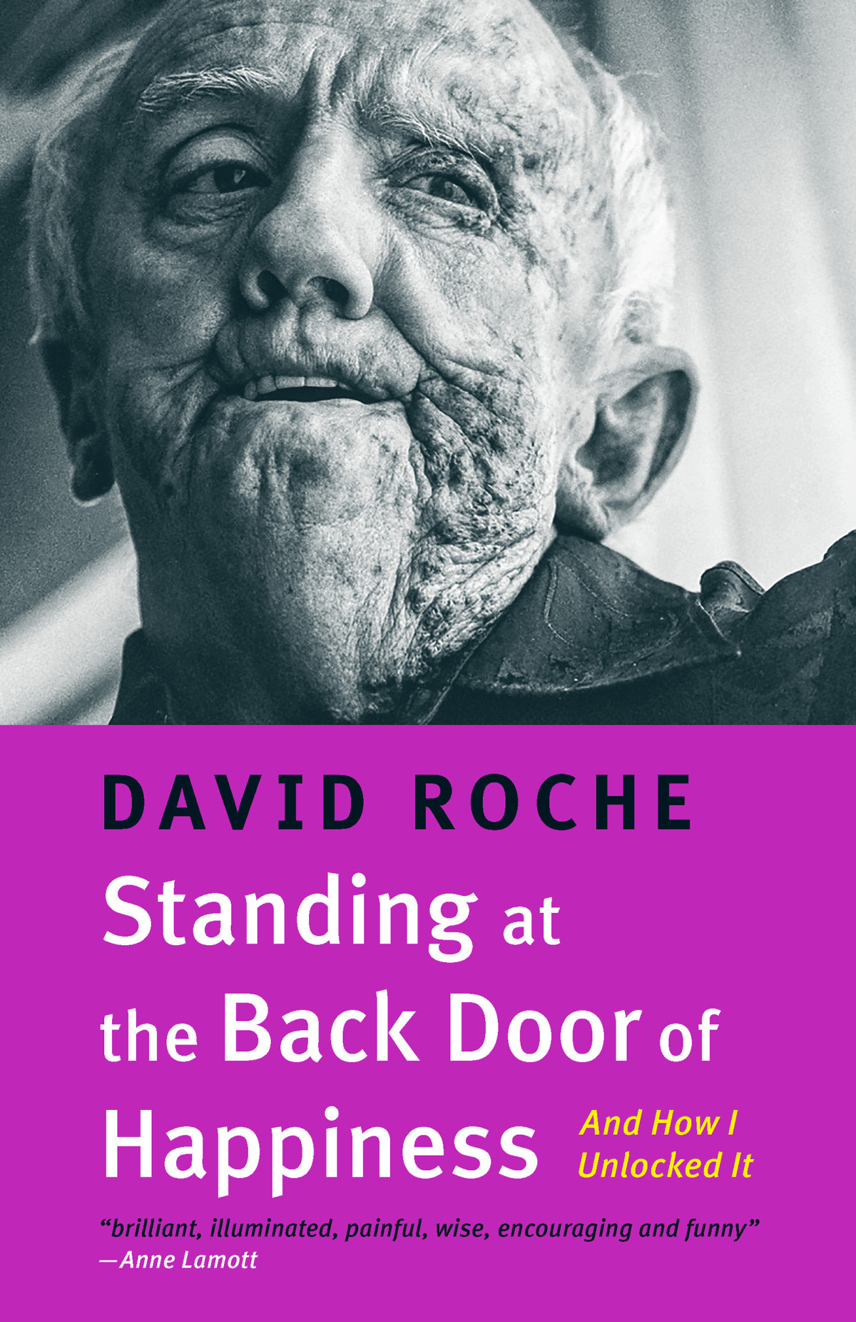 Standing At The Back Door Of Happiness David Roche