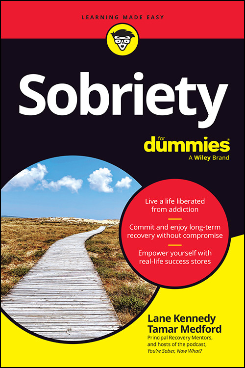 Sobriety For Dummies Lane Kennedy Tamar Medford