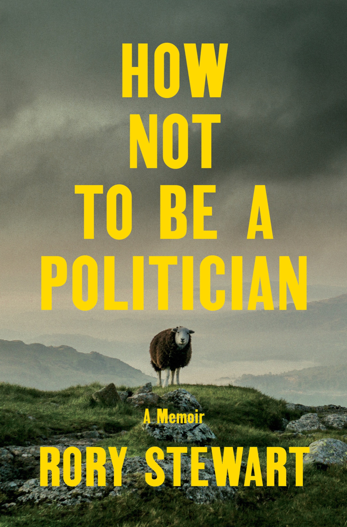 How Not To Be A Politician A Memoir Rory Stewart