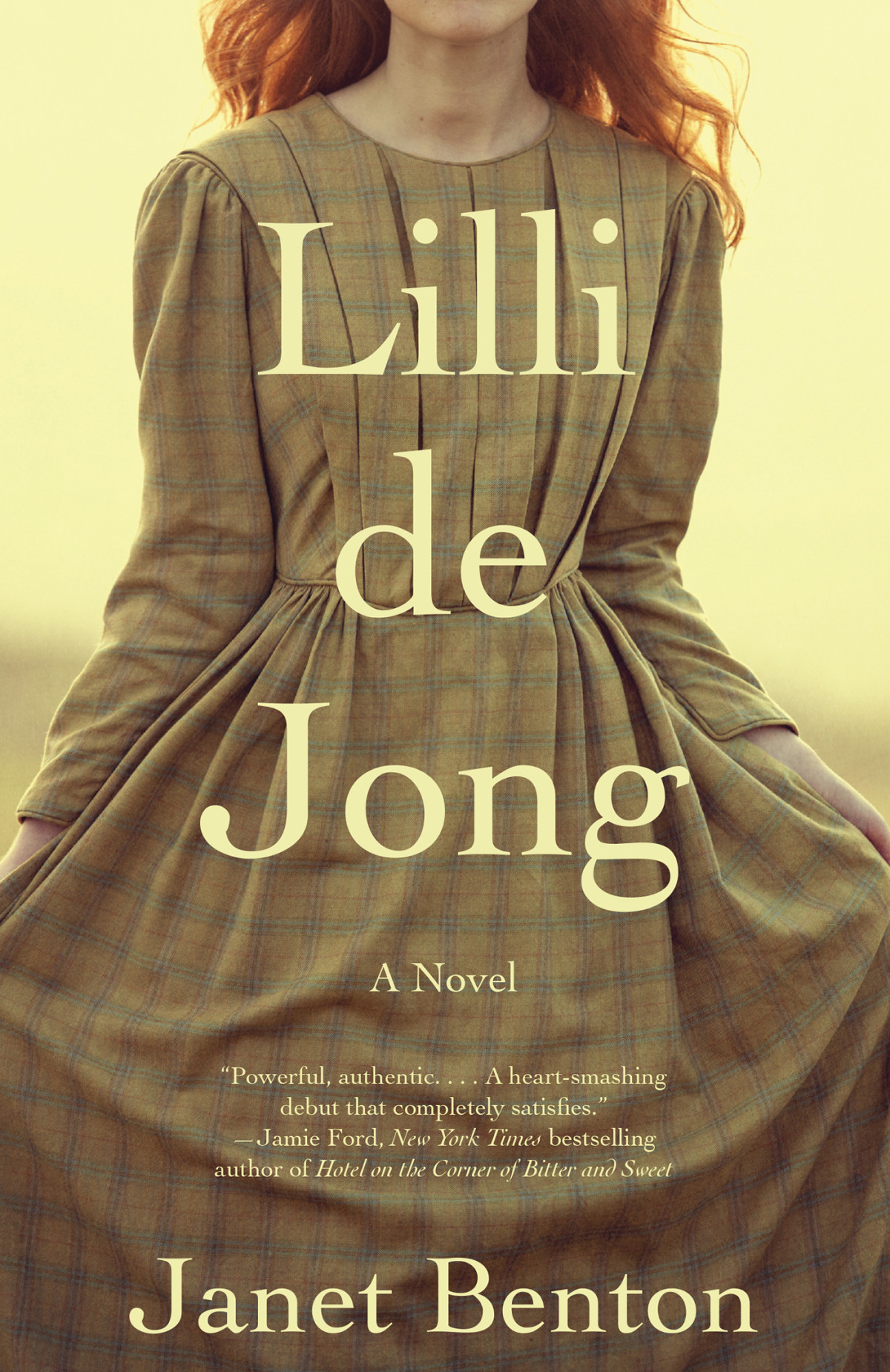 Lilli De Jong A Novel Janet Benton