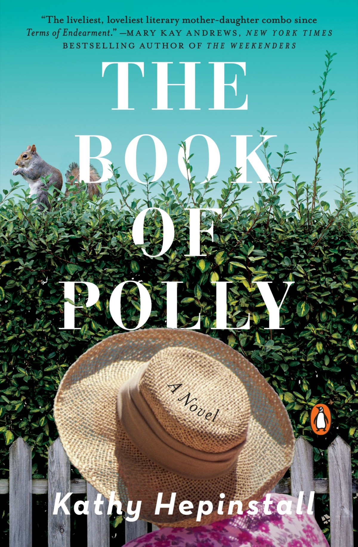 The Book Of Polly A Novel Kathy Hepinstall