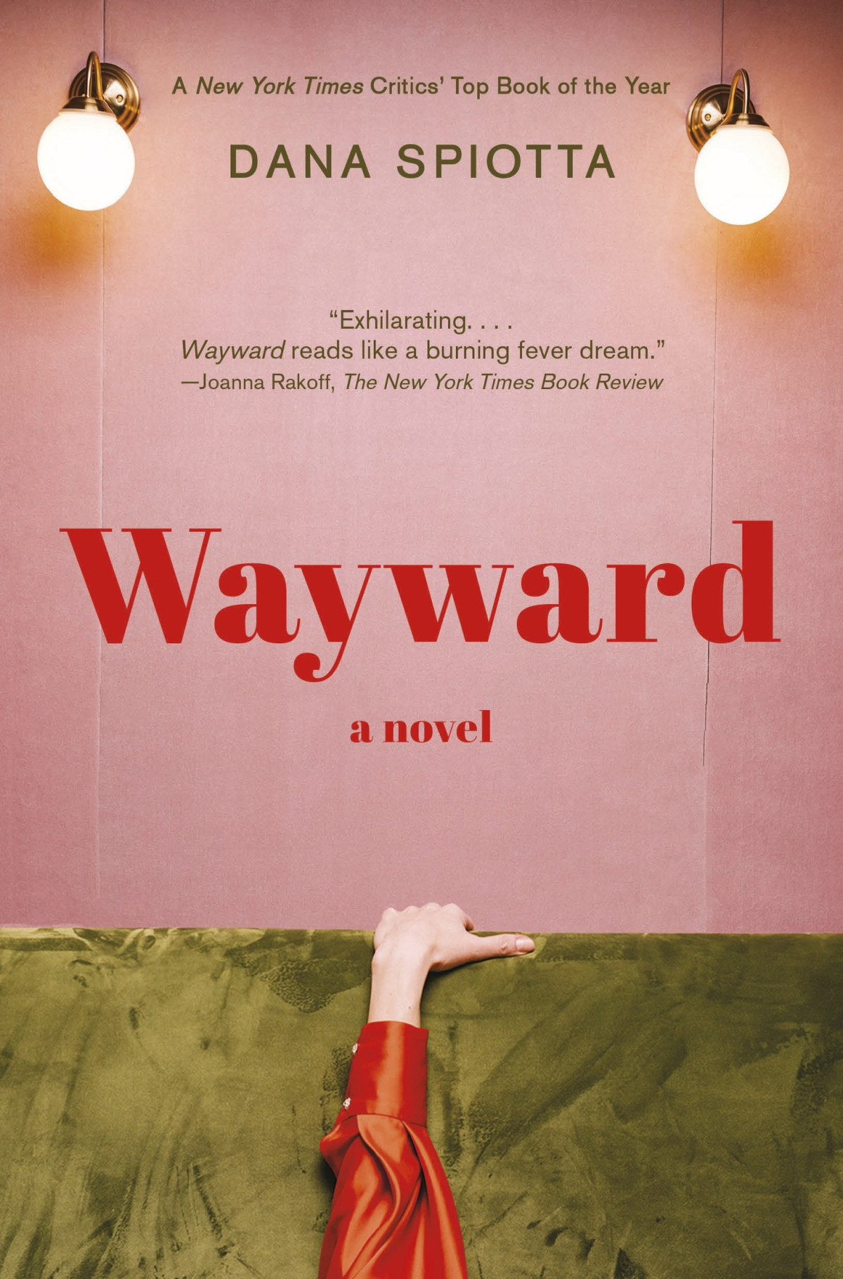 Wayward A Novel Dana Spiotta