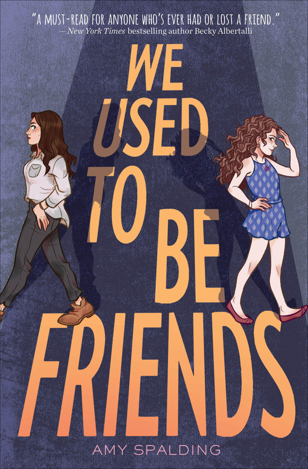 We Used To Be Friends Amy Spalding