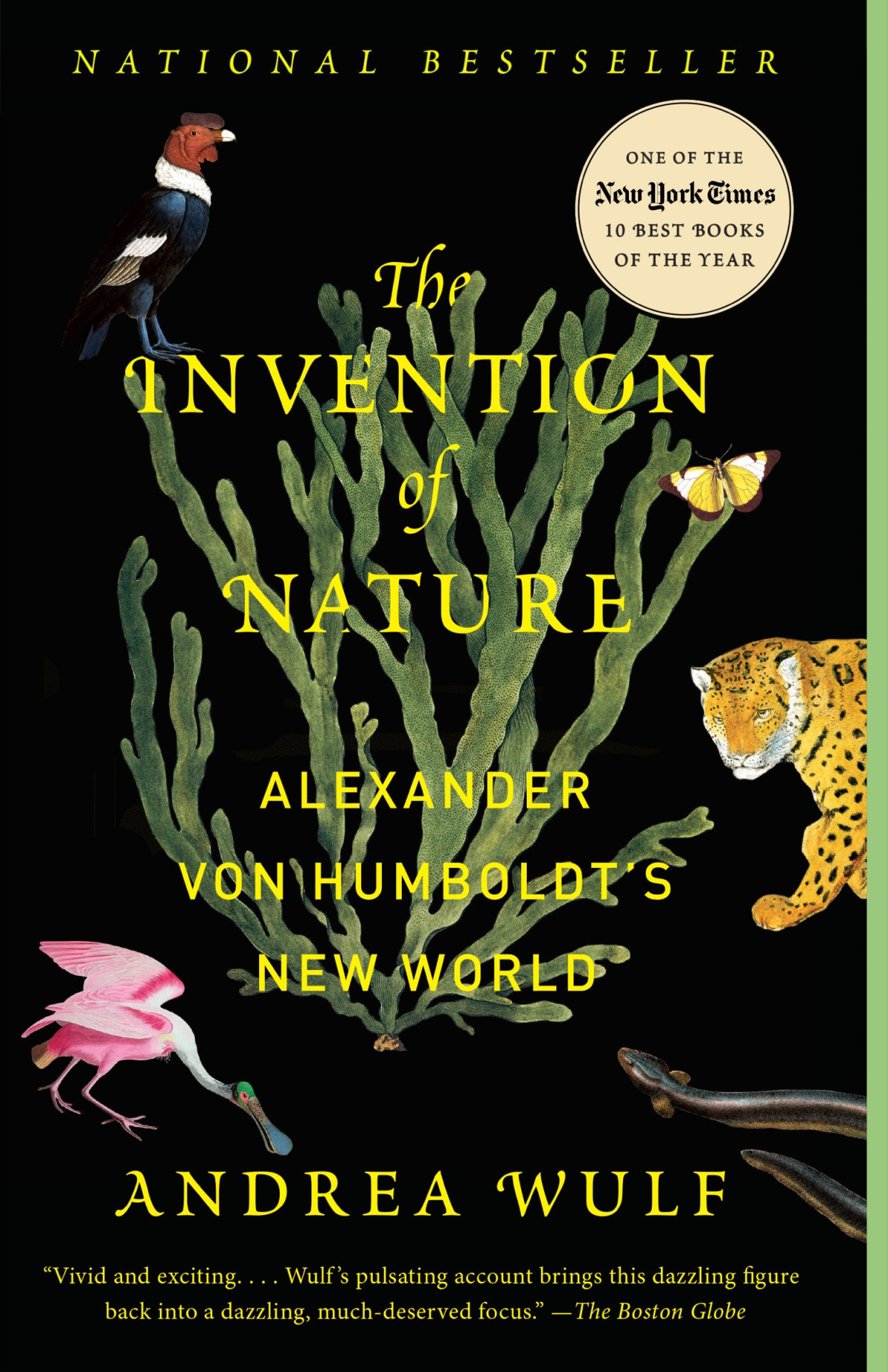 The Invention Of Nature Alexander Von Humboldts New World Andrea Wulf