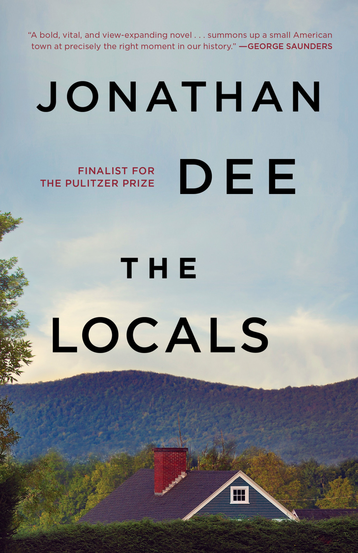 The Locals A Novel Jonathan Dee