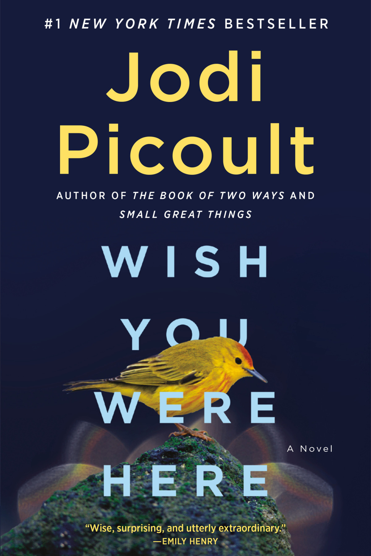 Wish You Were Here A Novel Jodi Picoult