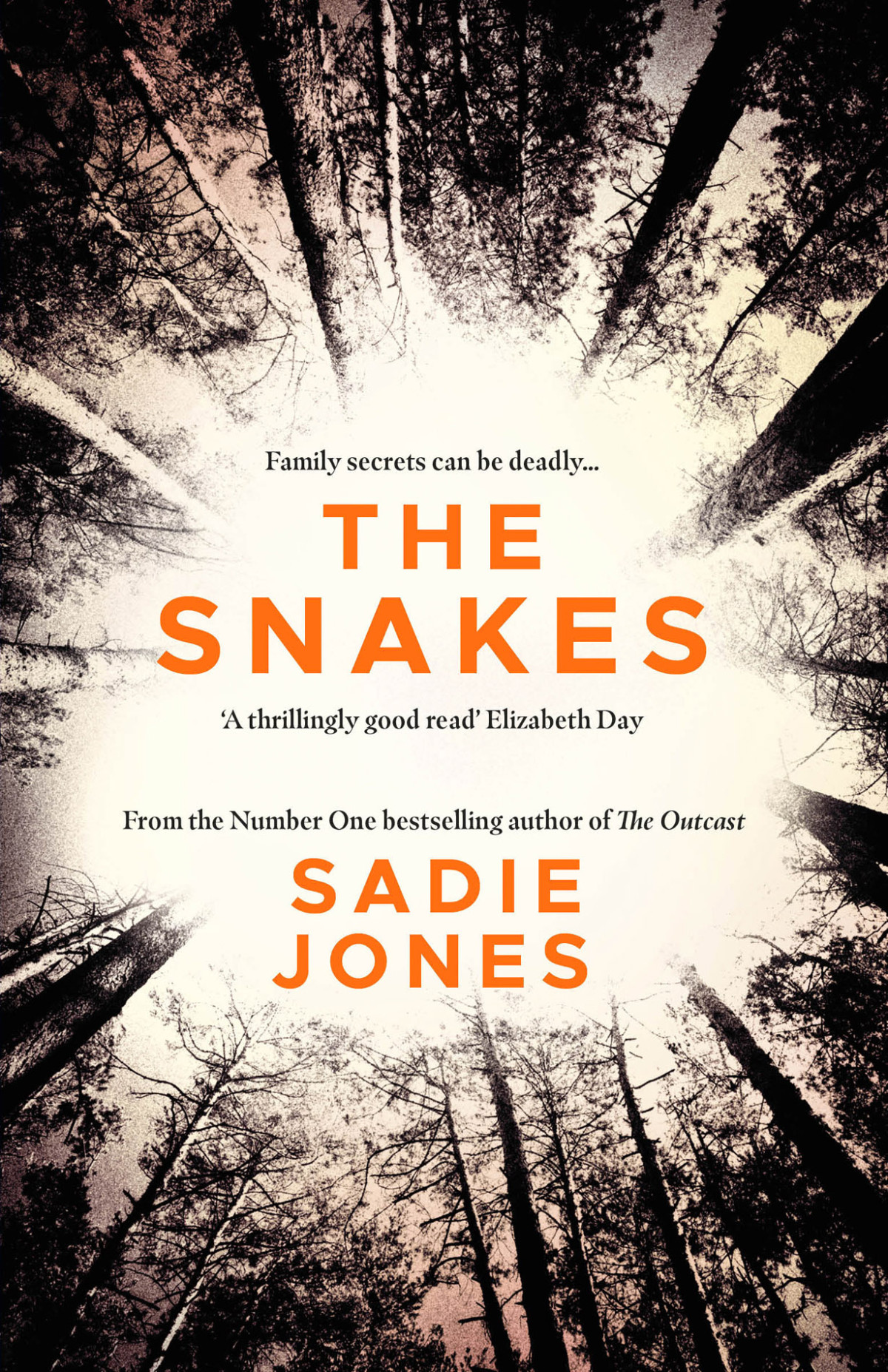 The Snakes Sadie Jones
