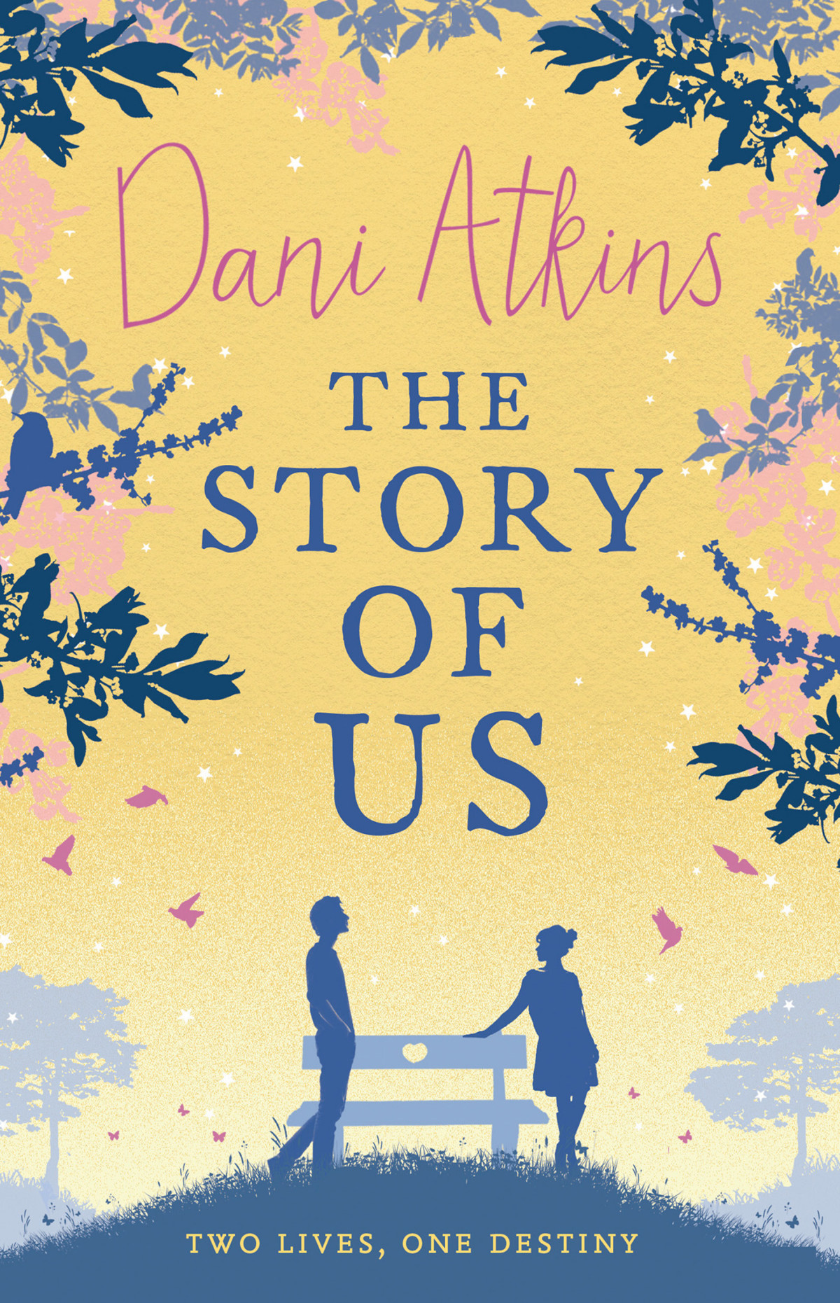 The Story Of Us Dani Atkins