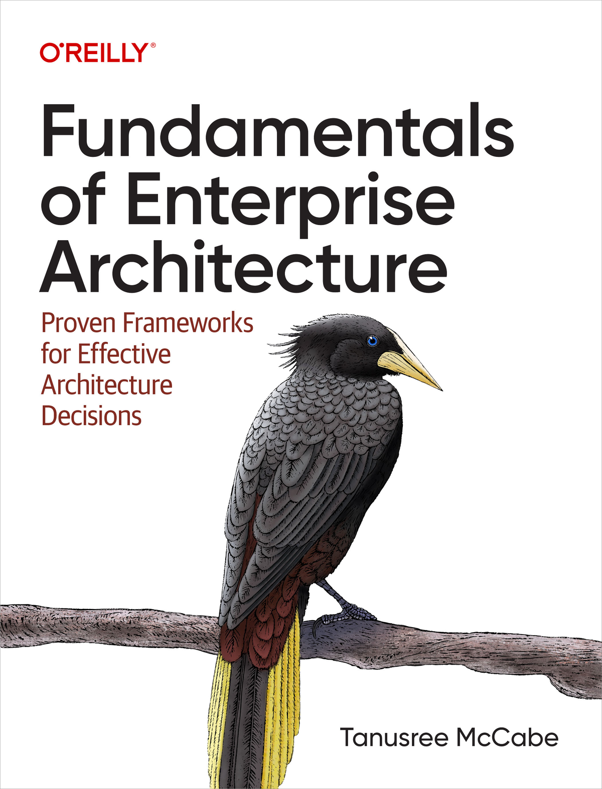 Fundamentals Of Enterprise Architecture Tanu Mccabe