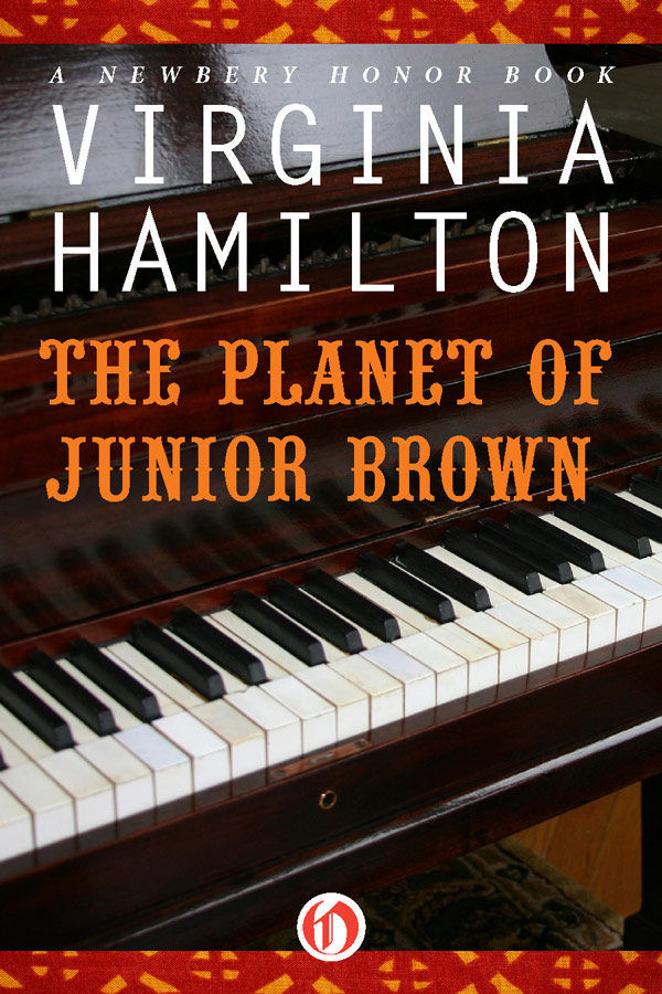 The Planet Of Junior Brown Virginia Hamilton