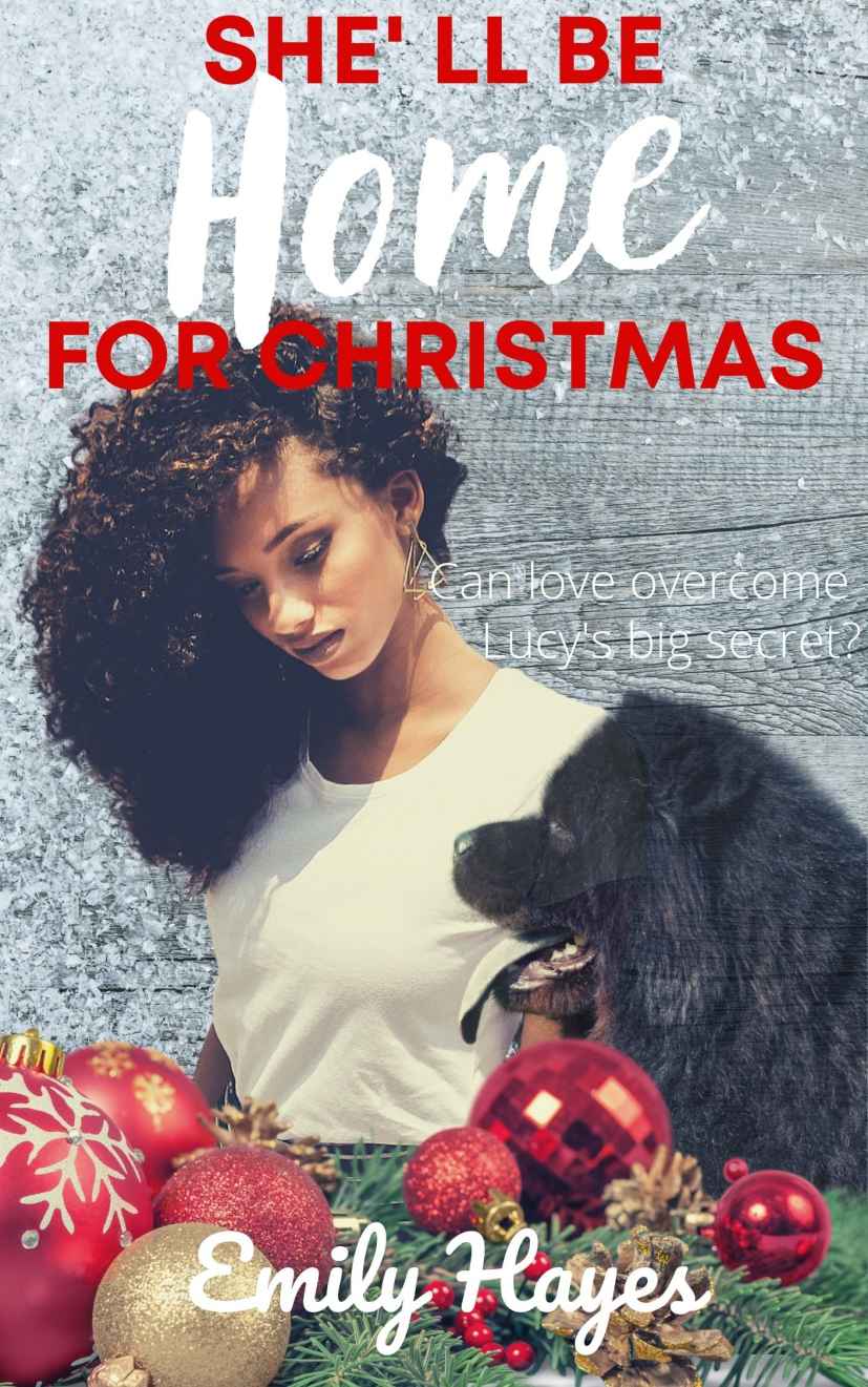 Shell Be Home For Christmas A Lesbian Christmas Romance Emily Hayes