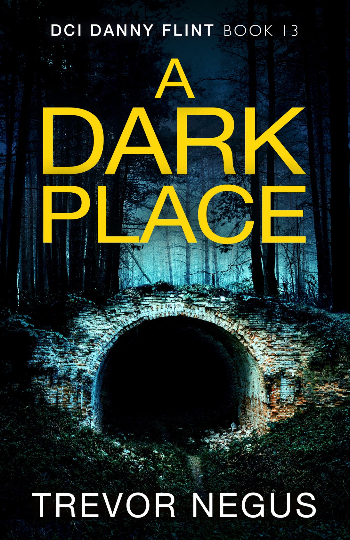A Dark Place Dci Danny Flint Book 13 Trevor Negus
