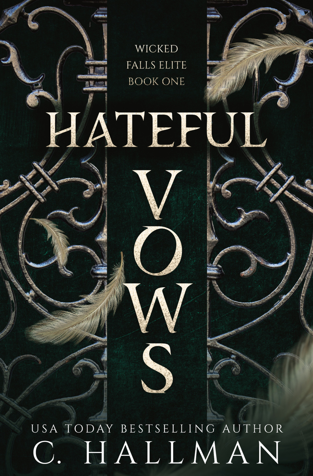 Hateful Vows A Dark Bully Romance C Hallman