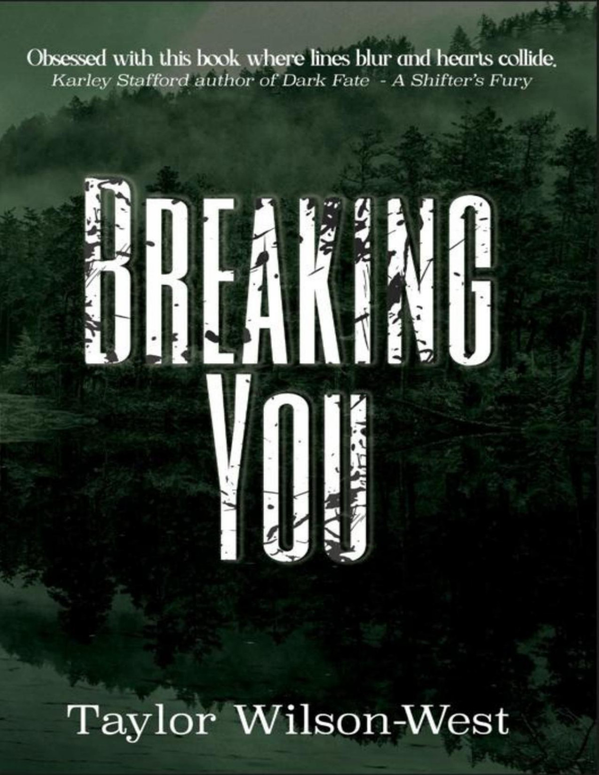 Breaking You Taylor Wilsonwest