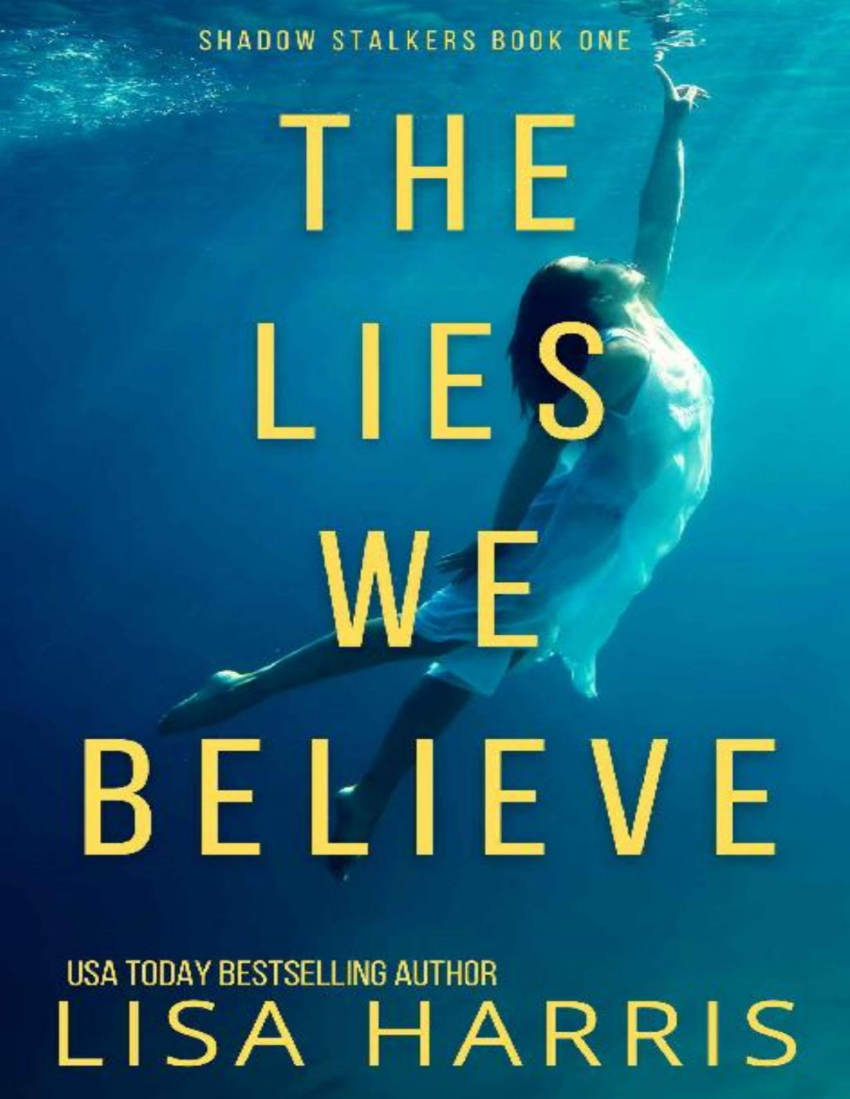 The Lies We Believe A Gripping Psychological Thriller Shadow Stalkers Book 1 1st Edition Lisa Harris