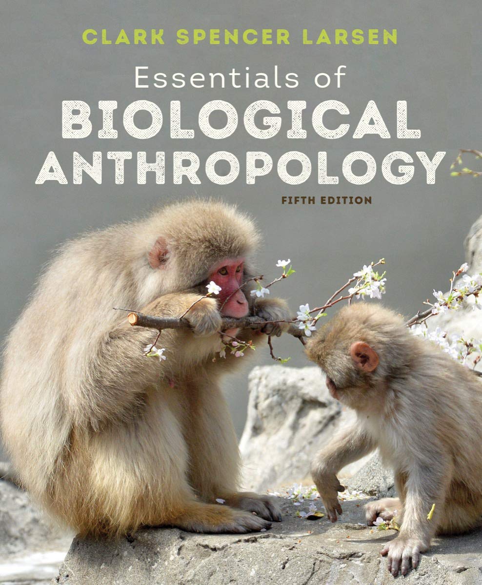 Essentials Of Biological Anthropology Fifth Clark Spencer Larsen