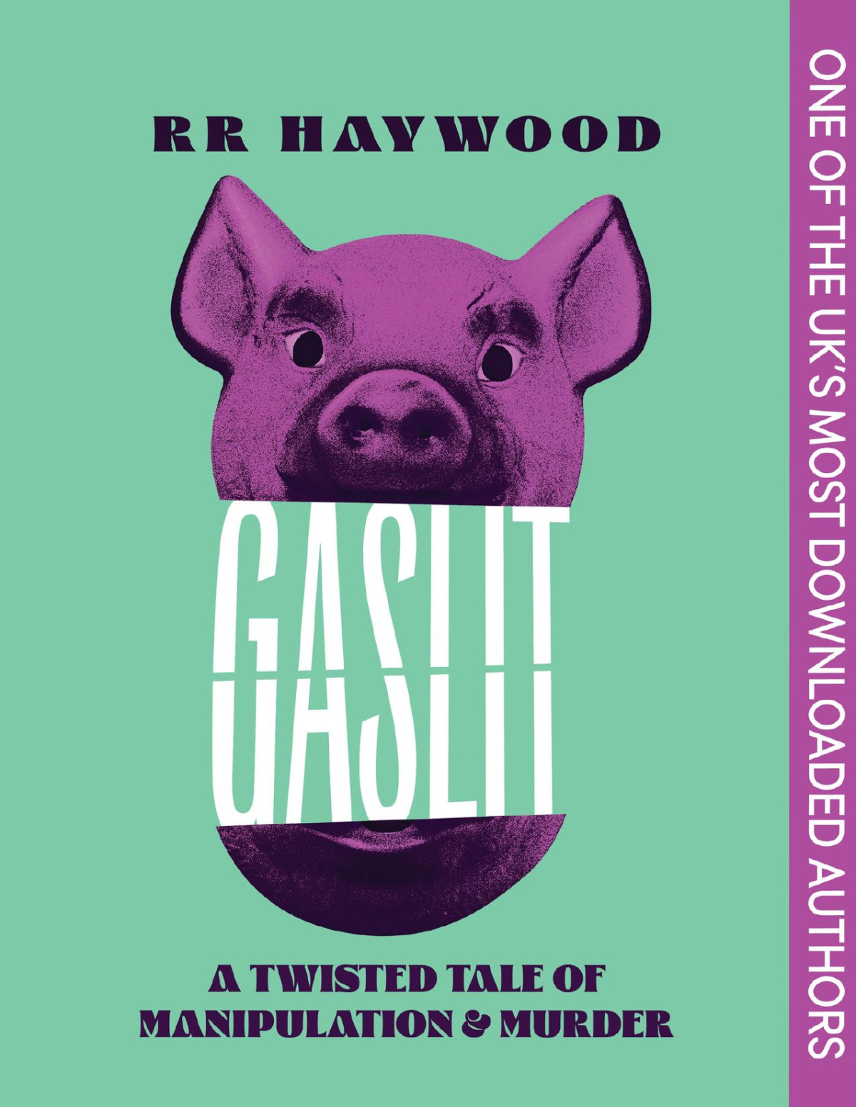 Gaslit An Absolutely Gripping Psychological Thriller Packed With A Twist You Wont See Coming Rr Haywood