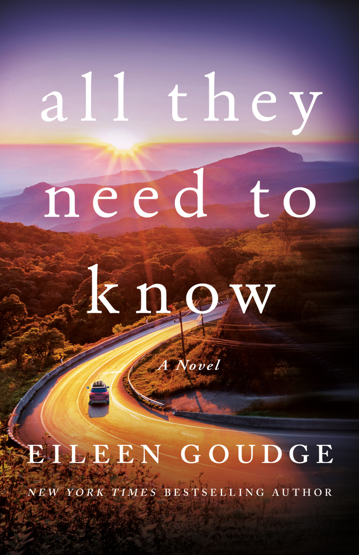 All They Need To Know Eileen Goudge