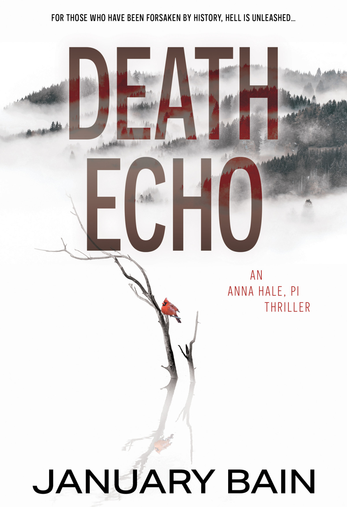 Death Echo An Anna Hale Pi Thriller January Bain