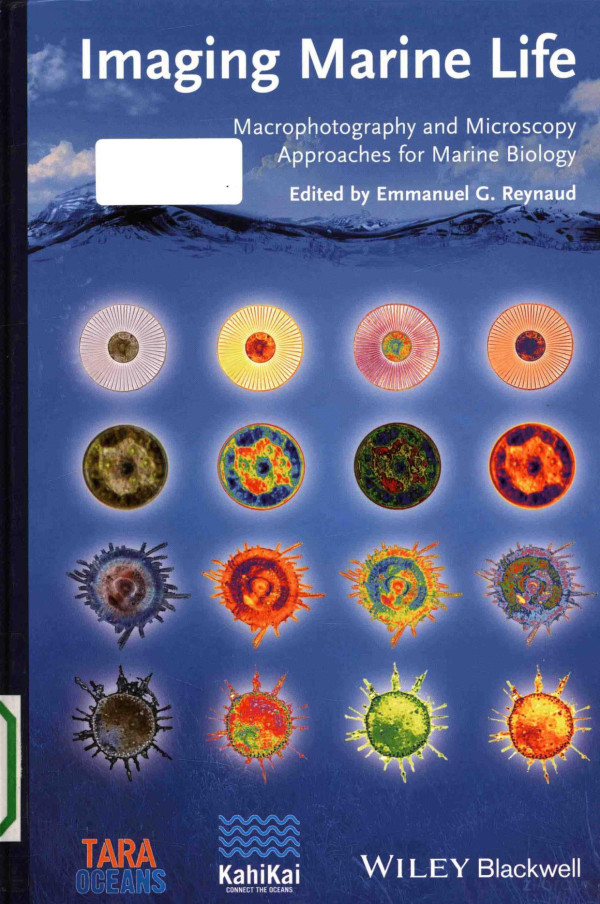 Imaging Marine Life Macrophotography And Microscopy Approaches For Marine Biology 2014th Edition Emmanuel Greynaud