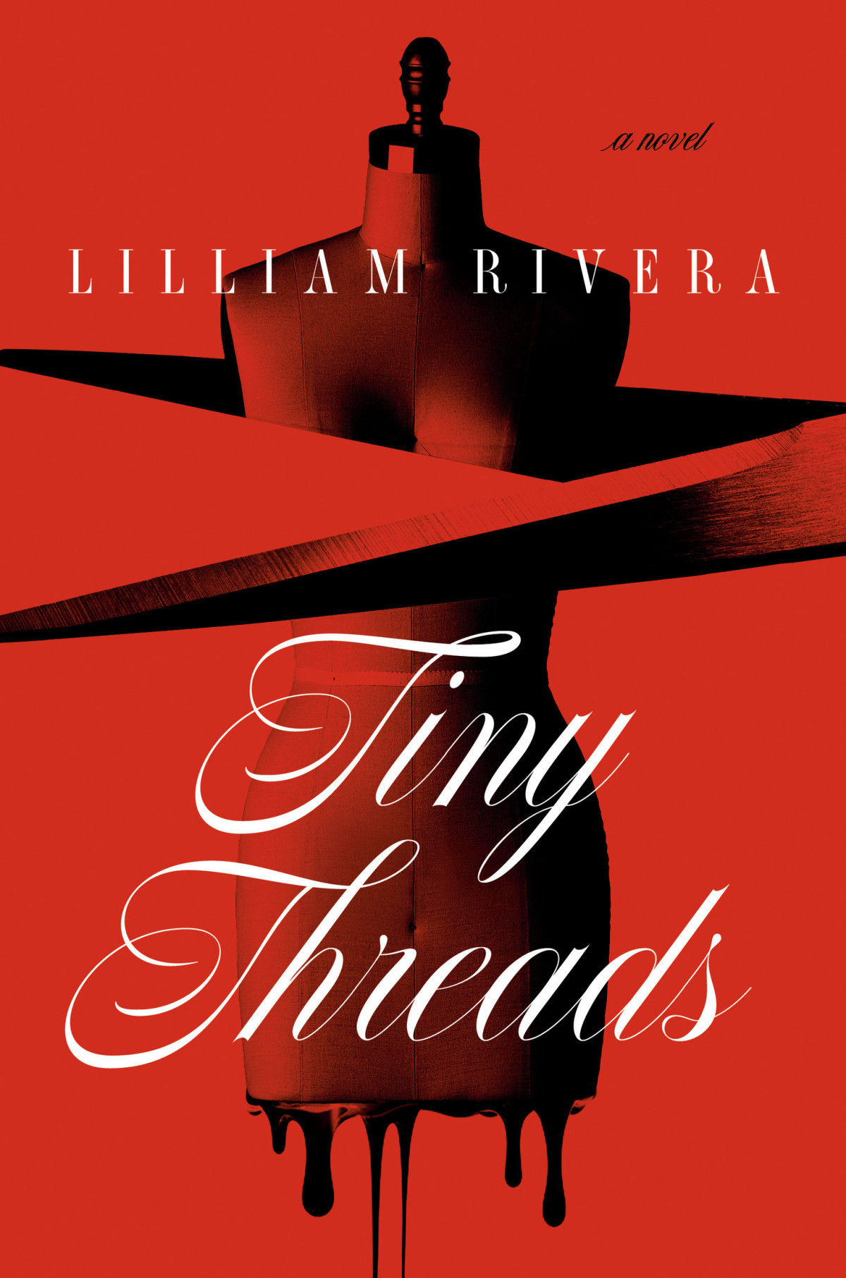 Tiny Threads A Novel Lilliam Rivera