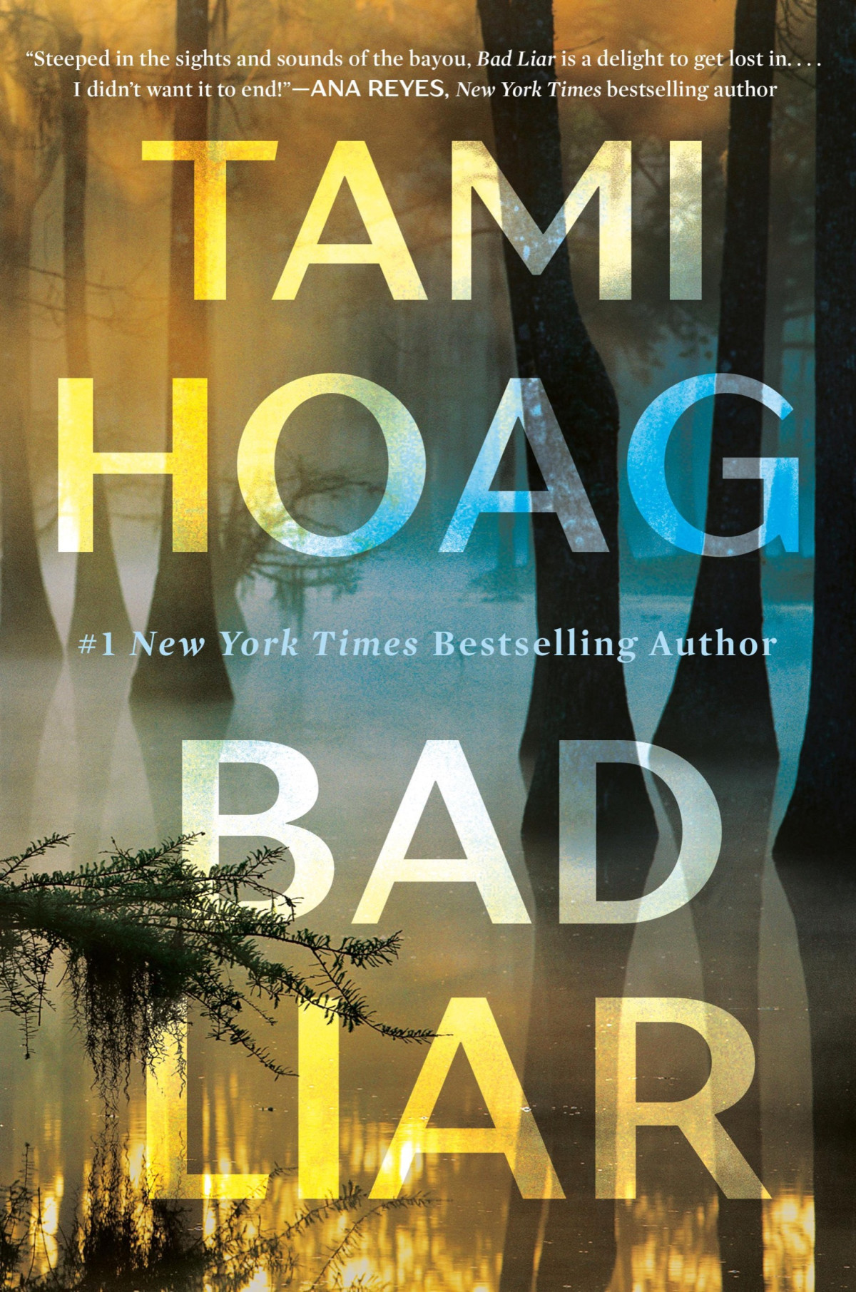 Bad Liar A Novel Tami Hoag