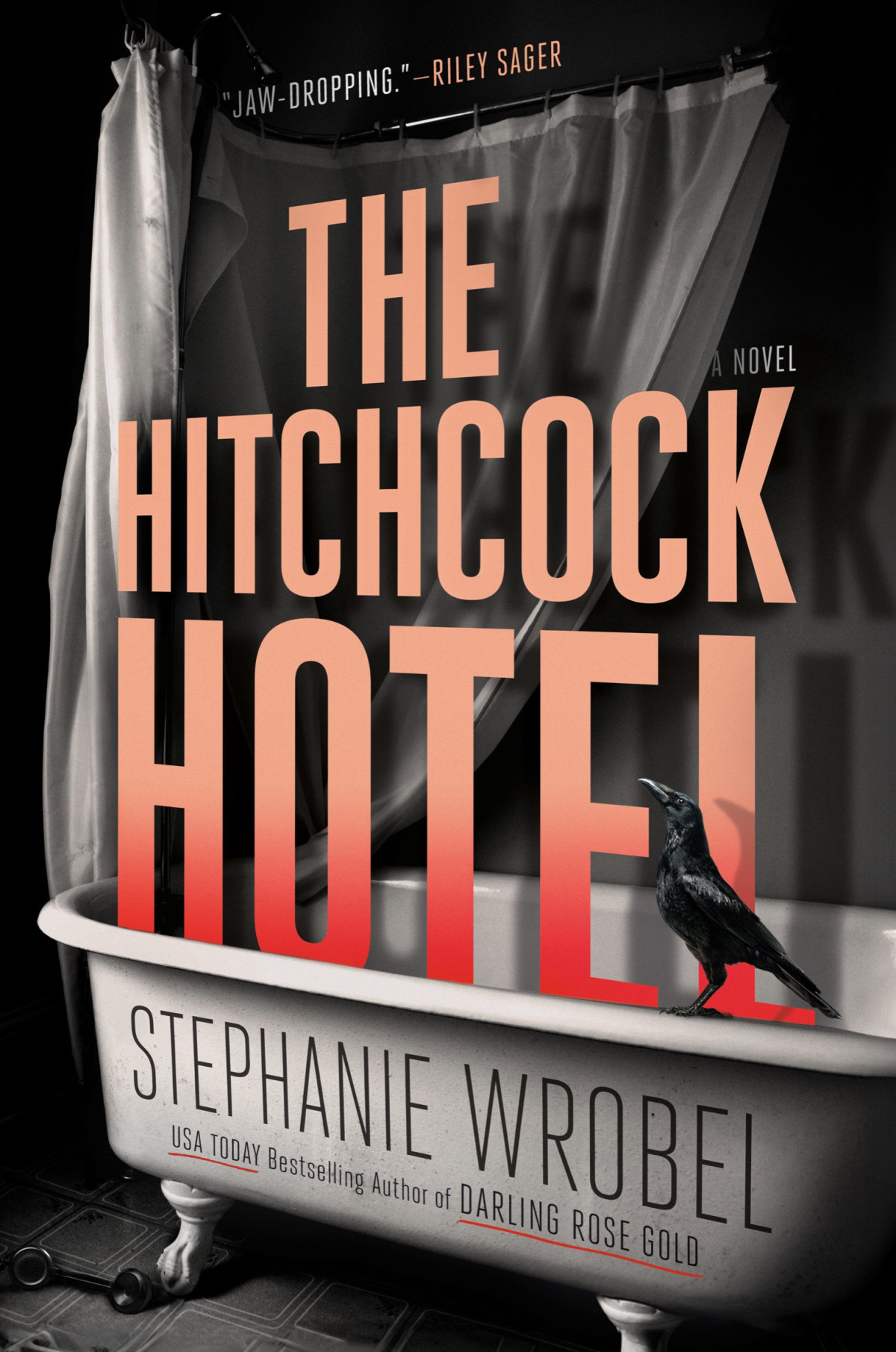 The Hitchcock Hotel Stephanie Wrobel