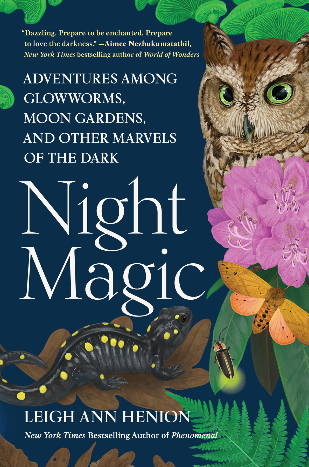 Night Magic Adventures Among Glowworms Moon Gardens And Other Marvels Of The Dark Leigh Ann Henion