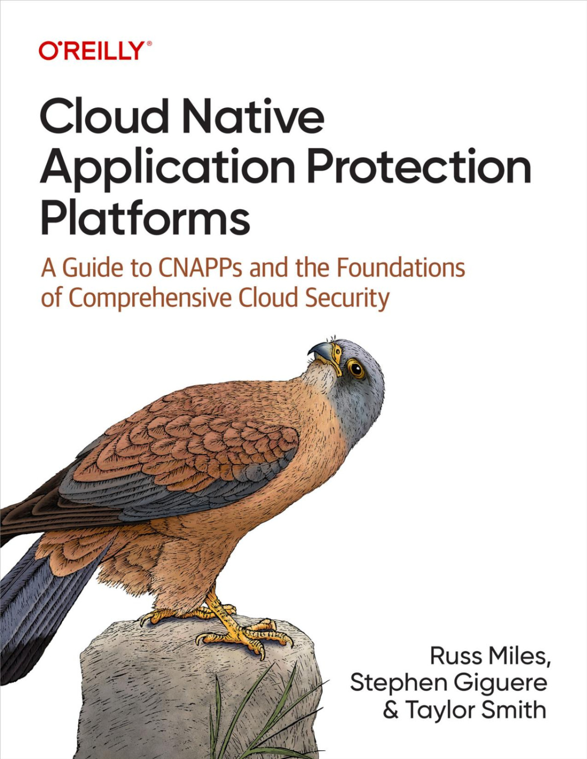 Cloud Native Application Protection Platforms Russ Miles