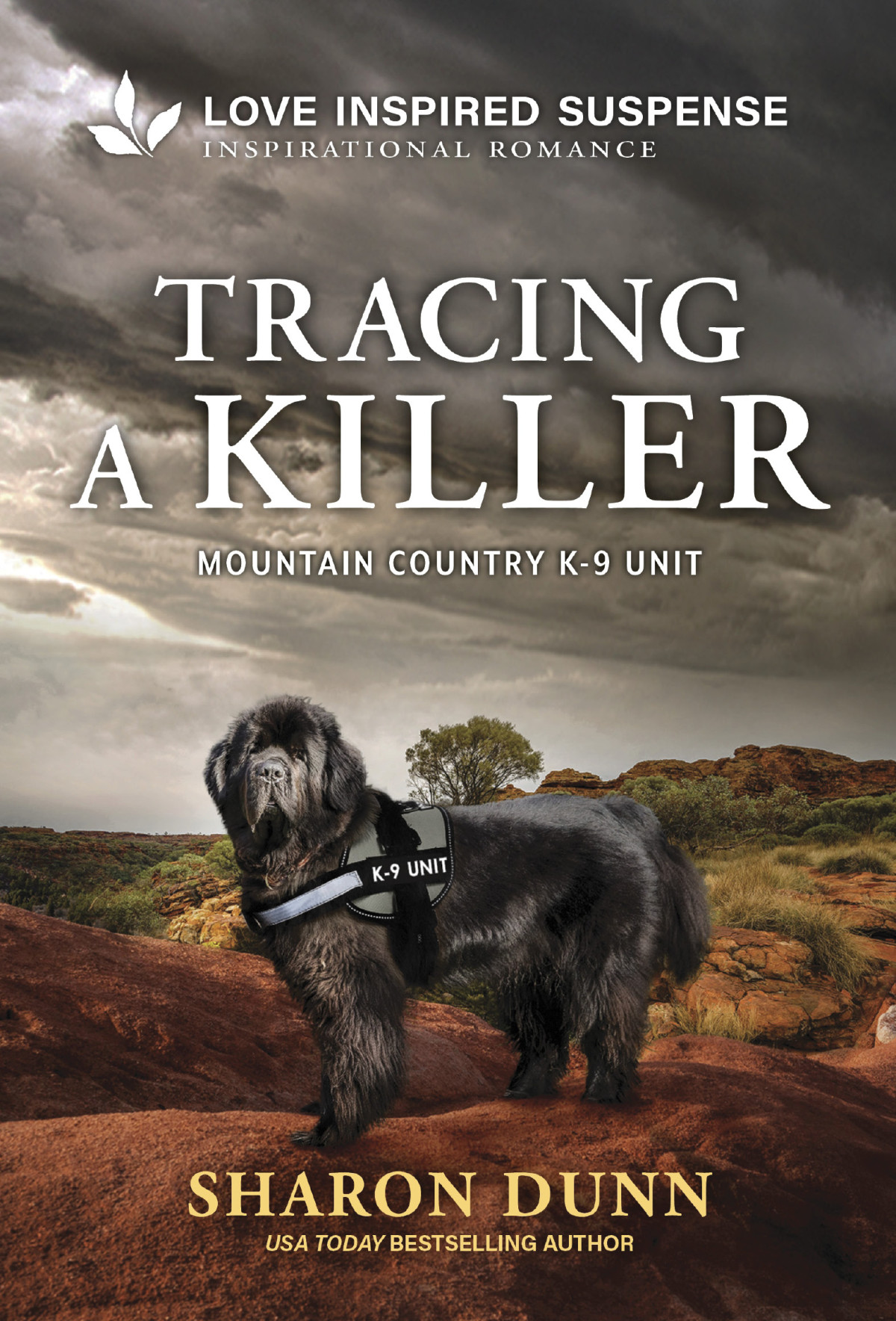 Tracing A Killer Sharon Dunn