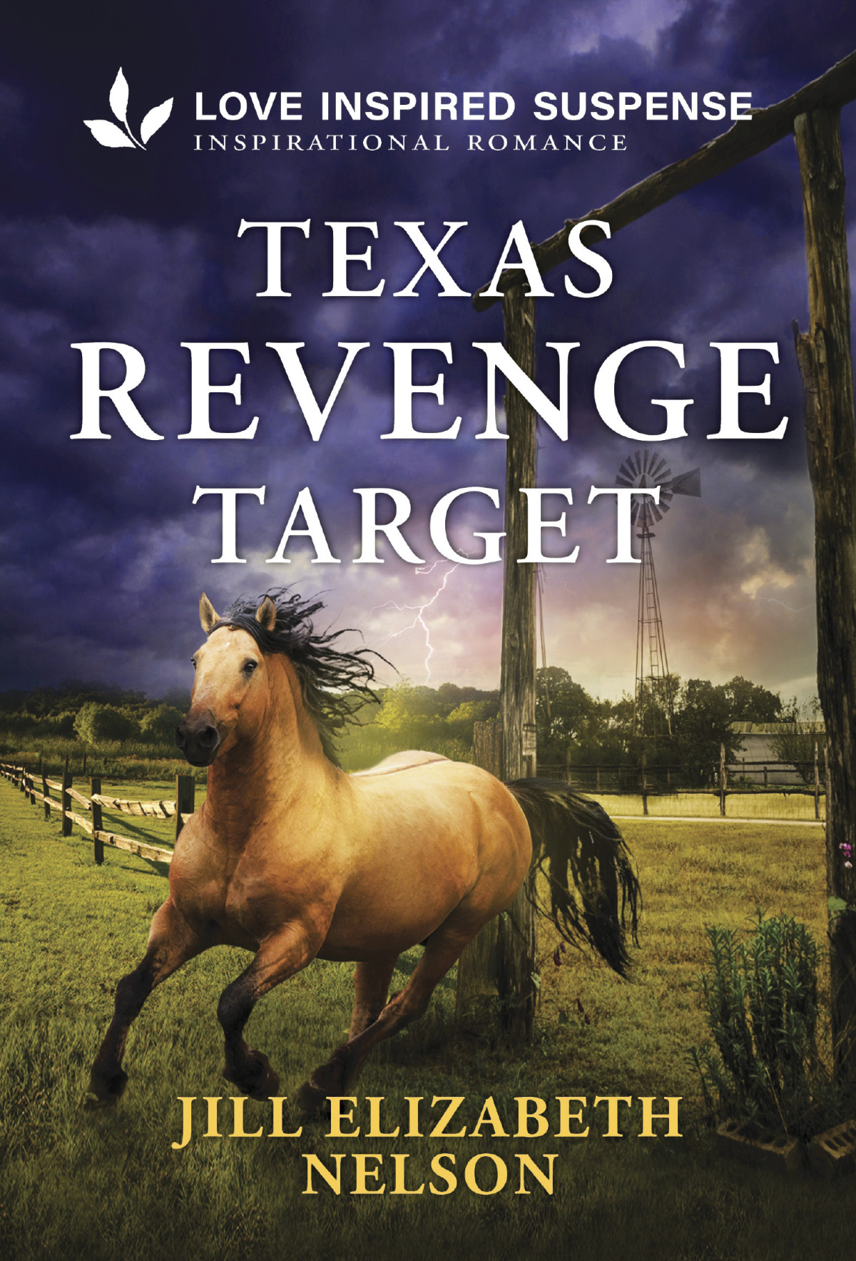 Texas Revenge Target 1st Edition Jill Elizabeth Nelson