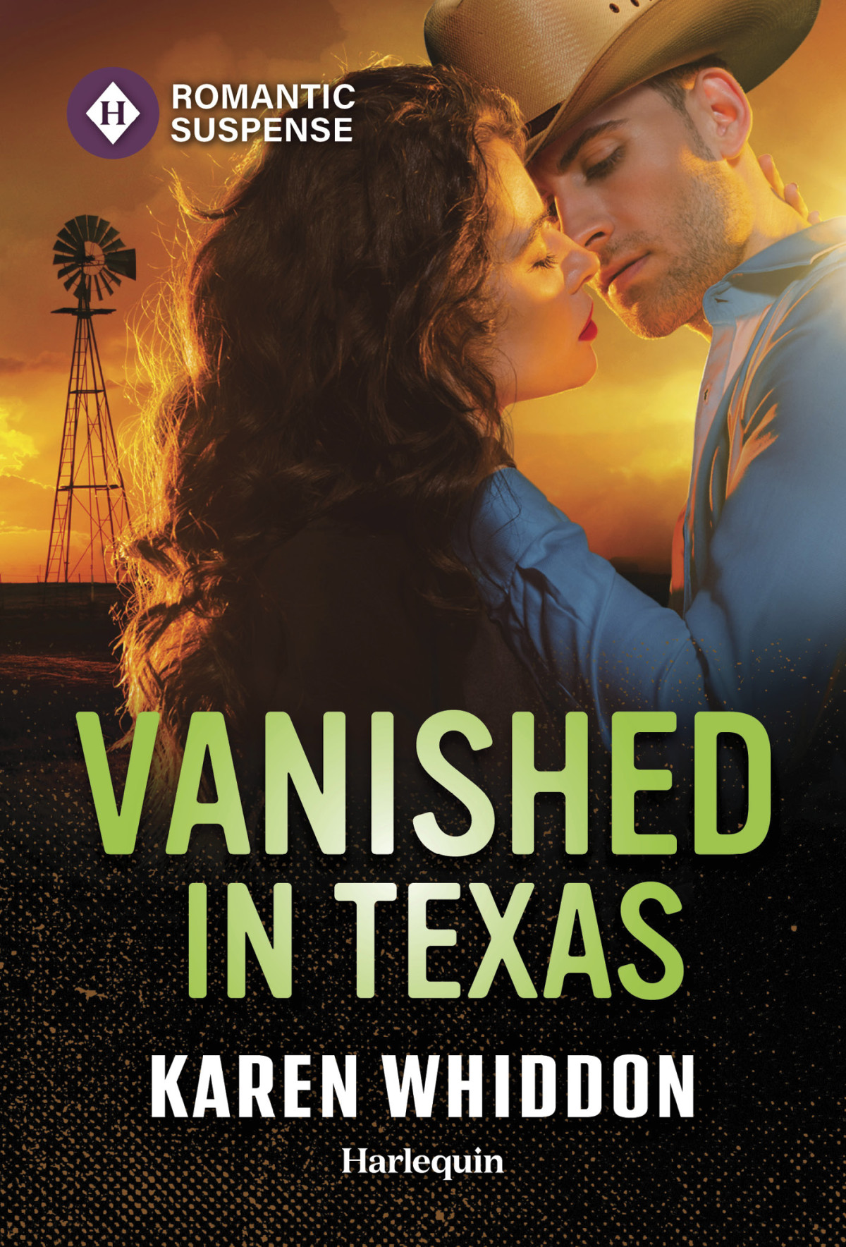 Vanished In Texas Karen Whiddon
