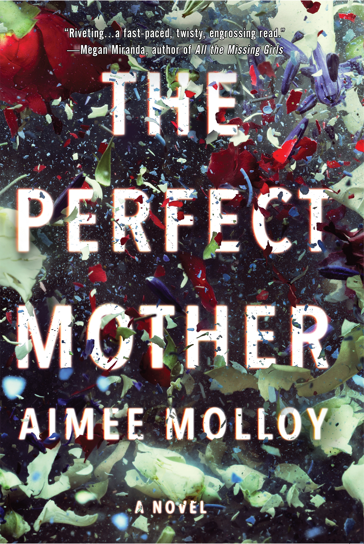 The Perfect Mother Aimee Molloy