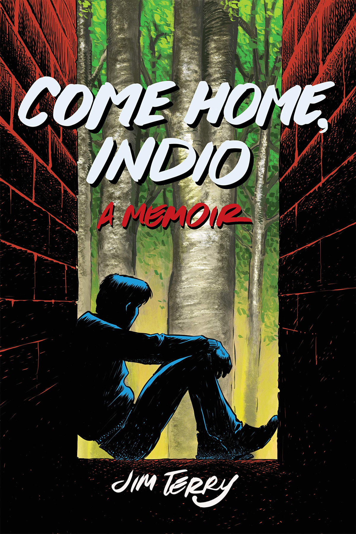 Come Home Indio Illustrated Jim Terry