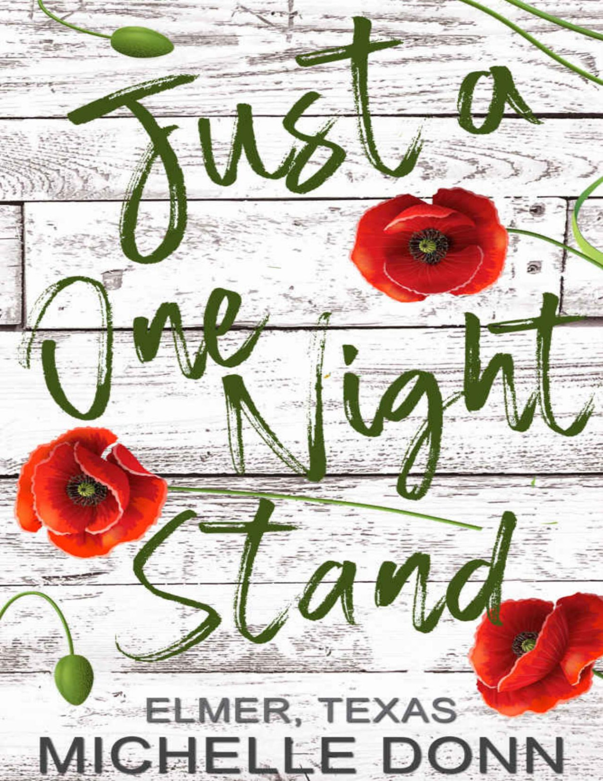 Just A One Night Stand Elmer Texas Book 2 1st Edition Michelle Donn