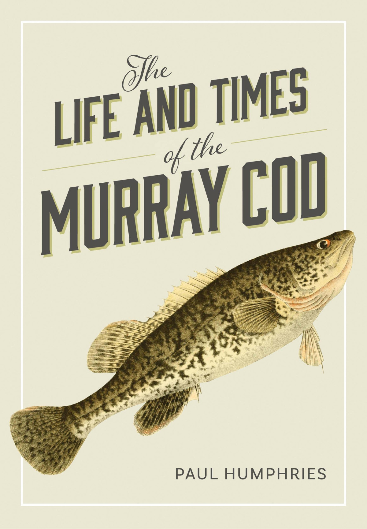 The Life And Times Of The Murray Cod Paul Humphries
