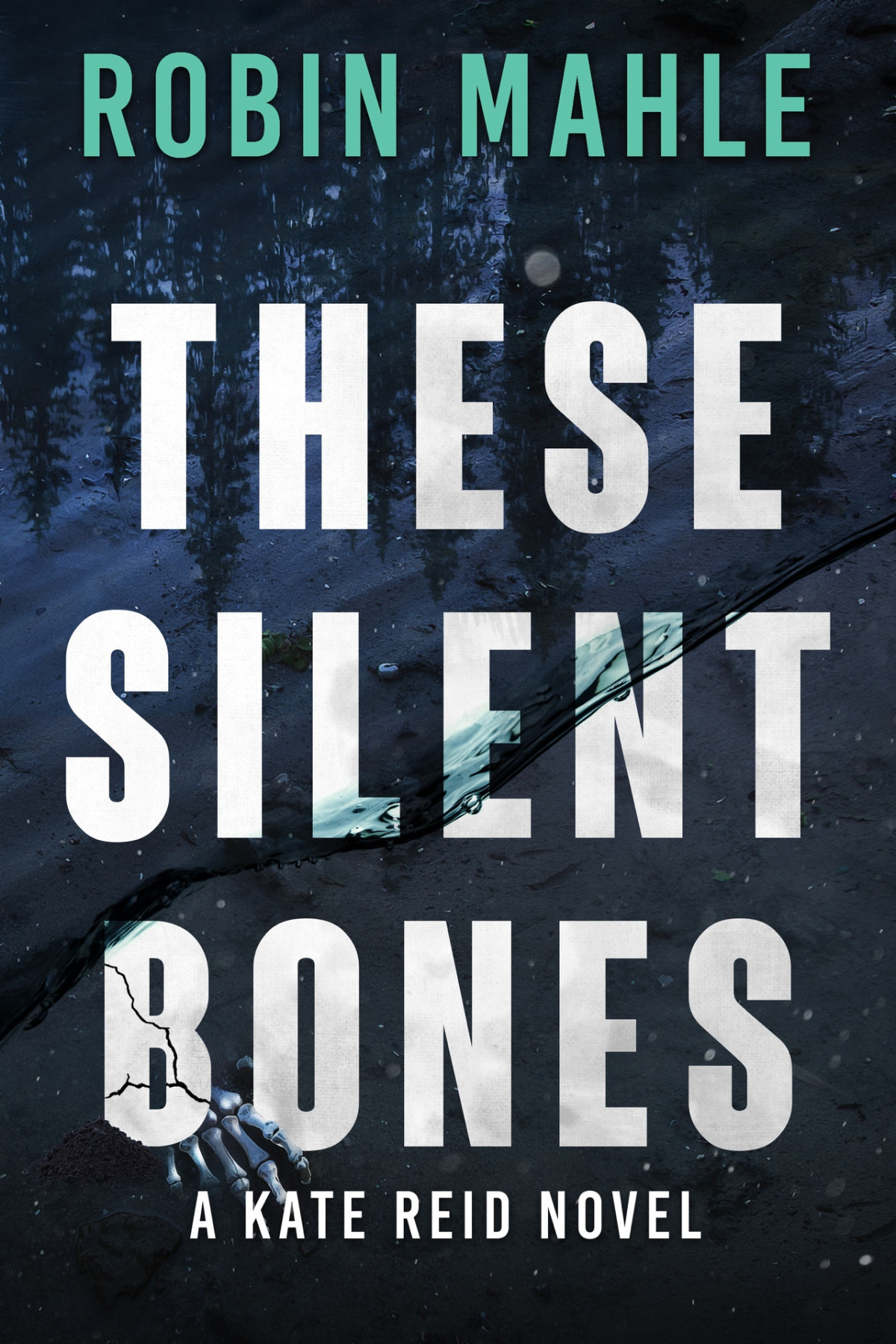 These Silent Bones 1st Edition Robin Mahle