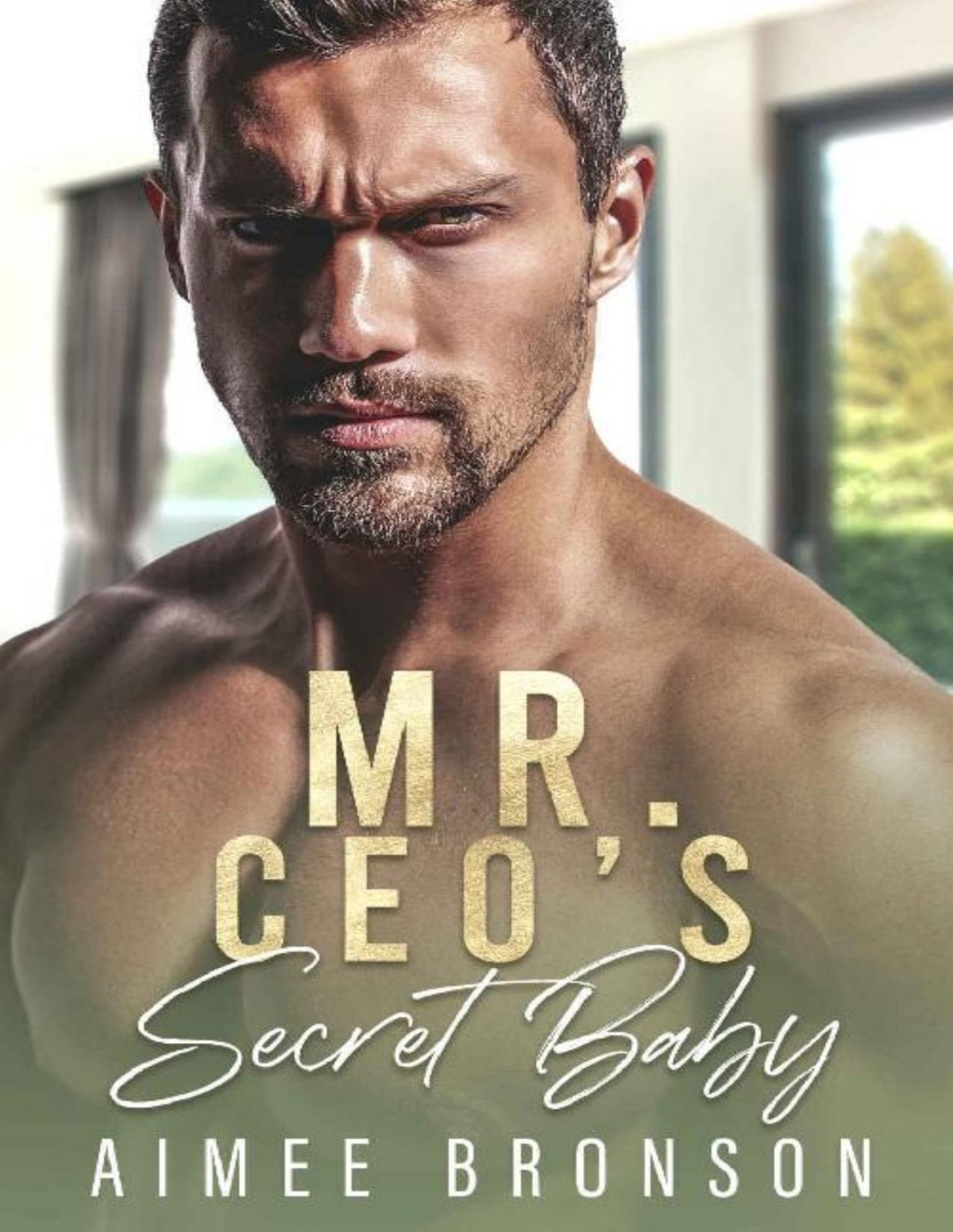 Mr Ceos Secret Baby A Billionaire Second Chance Romance Billionaire Keepers Aimee Bronson
