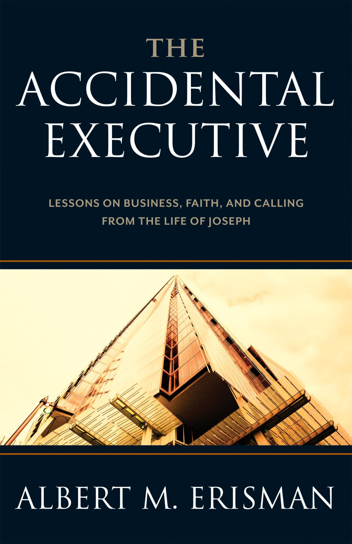 The Accidental Executive A M Erisman