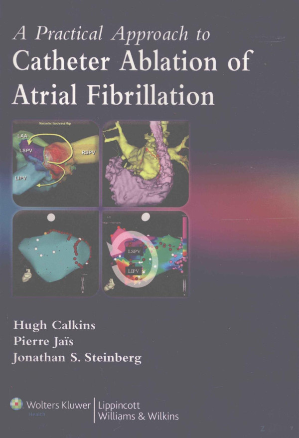A Practical Approach To Catheter Ablation Of Atrial Fibrillationhugh Calkinsmd Pierre Jais 2008th Edition Md Jonathan Ssteinberg