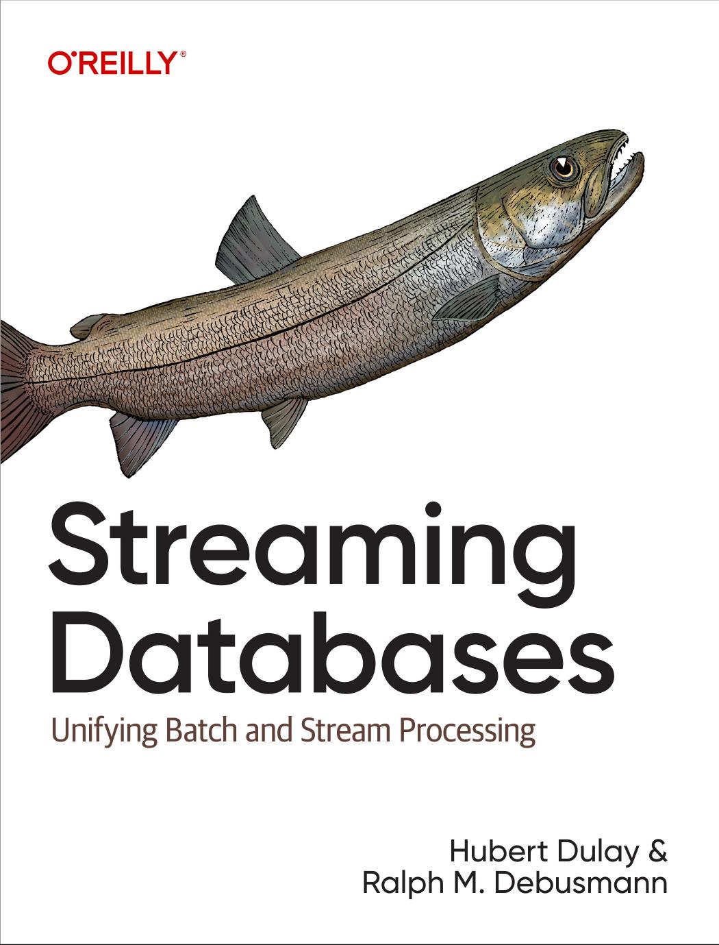 Streaming Databases Unifying Batch And Stream Processing Hubert Dulay Ralph M Debusmann
