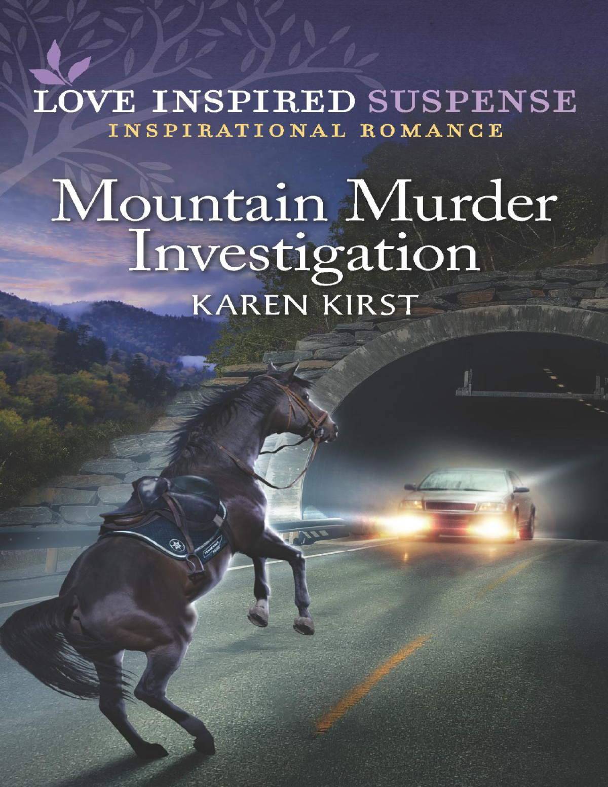 Mountain Murder Investigation Karen Kirst