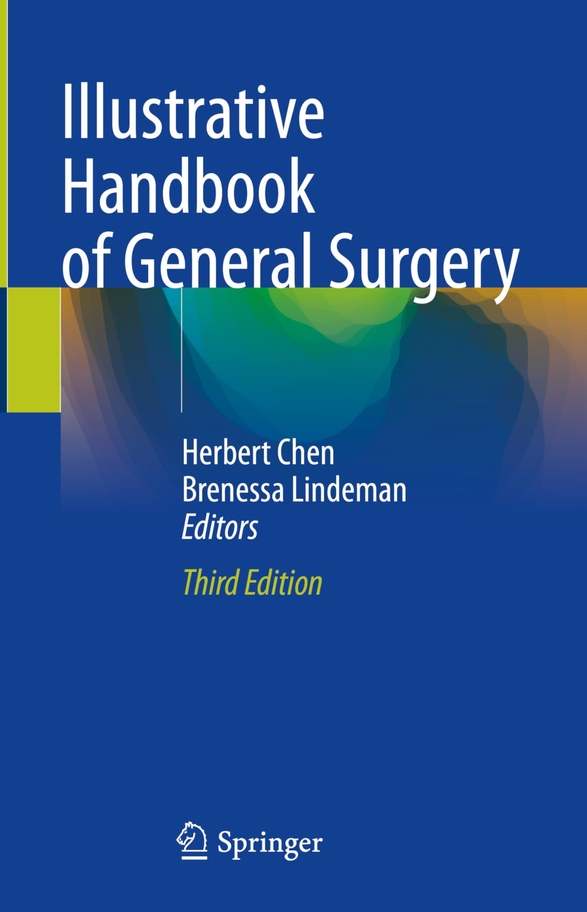 Illustrative Handbook Of General Surgery 3e Sep 25 20243031638778springerpdf 2024th Edition Herbert Chen