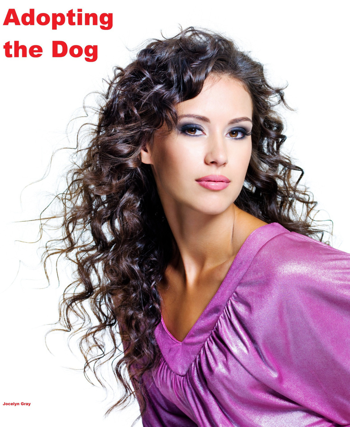 Adopting The Dog Gray Jocelyn
